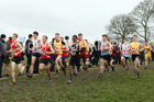 Senior boys 2019 New Balance English Schools Cross Country Champs, Temple Newsam, Leeds. Photo:  David T. Hewitson/Sports for All Pics